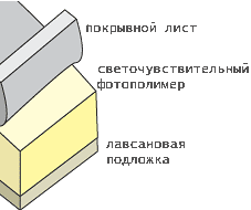 book.prnfoto.1.gif